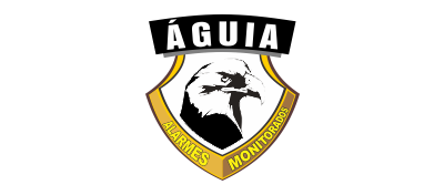 Aguia Alarmes Logo - Grupo Readapt